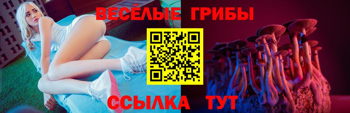 Галлюциногенные грибы MAGIC MUSHROOMS Люберцы